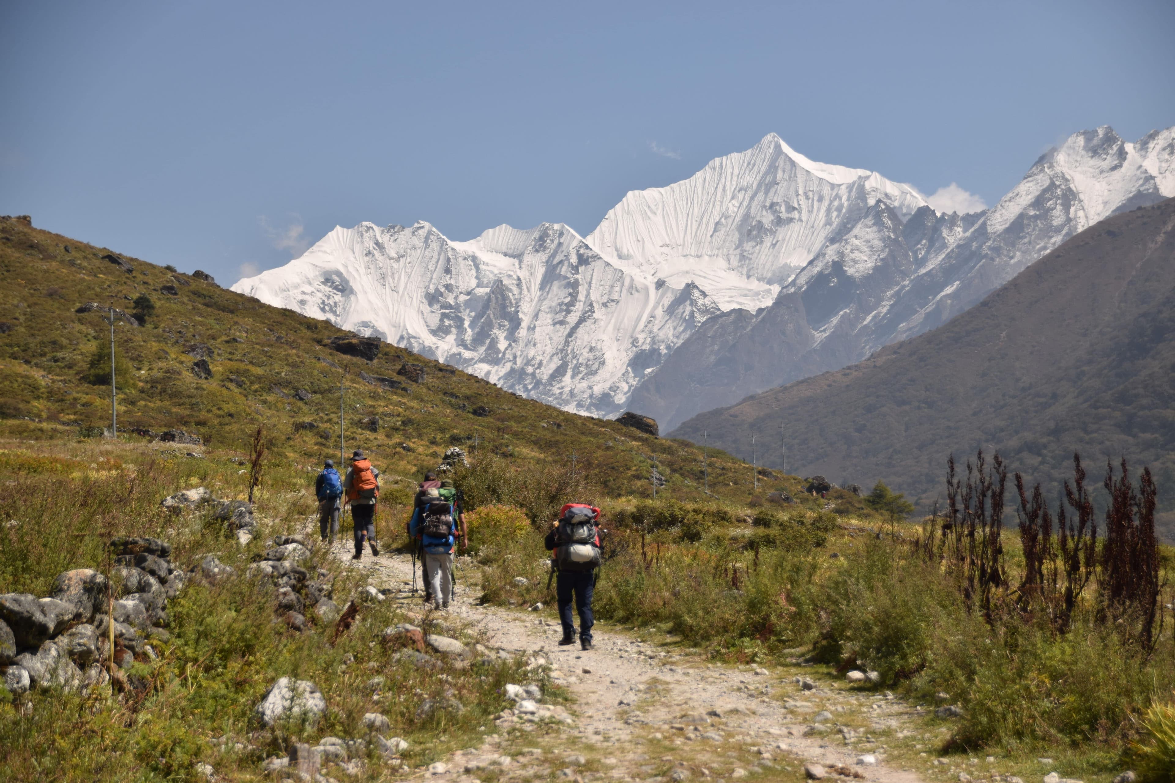Langtang Valley Trek – Nepal’s Stunning Himalayan Escape - trekking route in Nepal